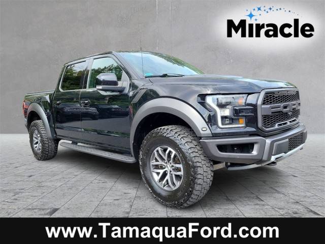 2018 Ford F-150 Raptor 4WD photo