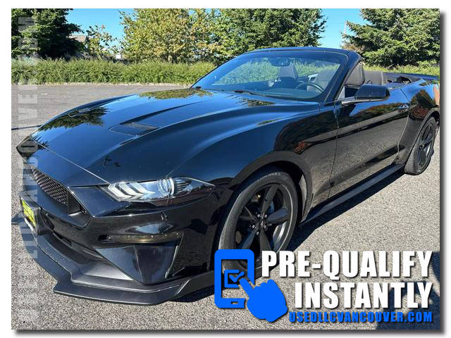 2018 Ford Mustang EcoBoost RWD photo