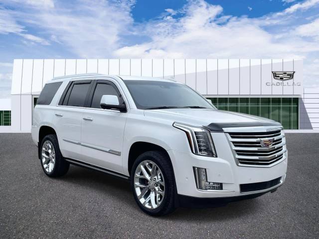 2018 Cadillac Escalade Platinum 4WD photo