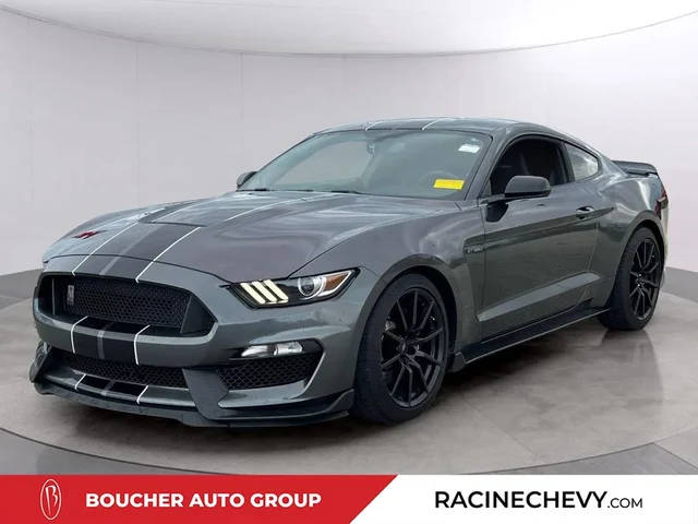 2018 Ford Mustang Shelby GT350 RWD photo