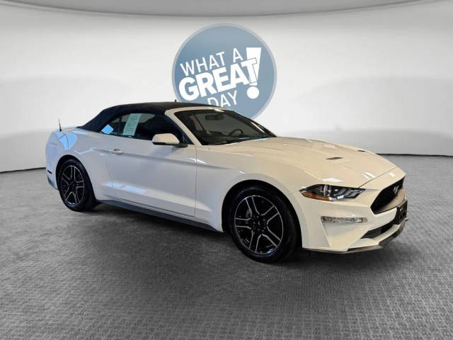 2018 Ford Mustang EcoBoost Premium RWD photo