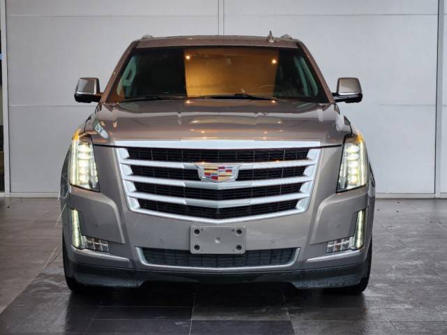 2018 Cadillac Escalade Luxury RWD photo