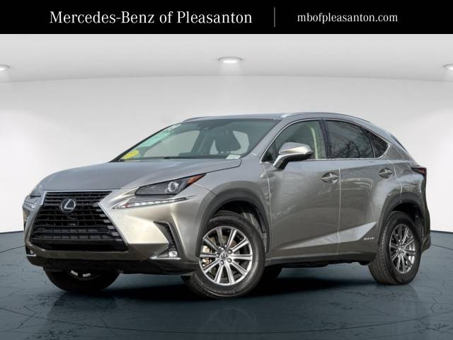 2019 Lexus NX NX 300h AWD photo