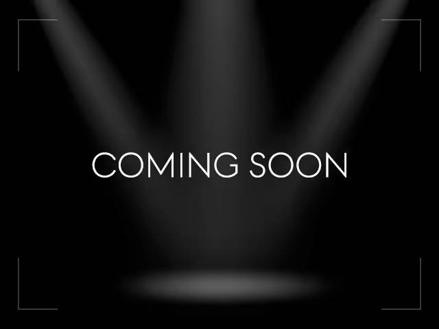 2019 Lexus NX NX 300 AWD photo