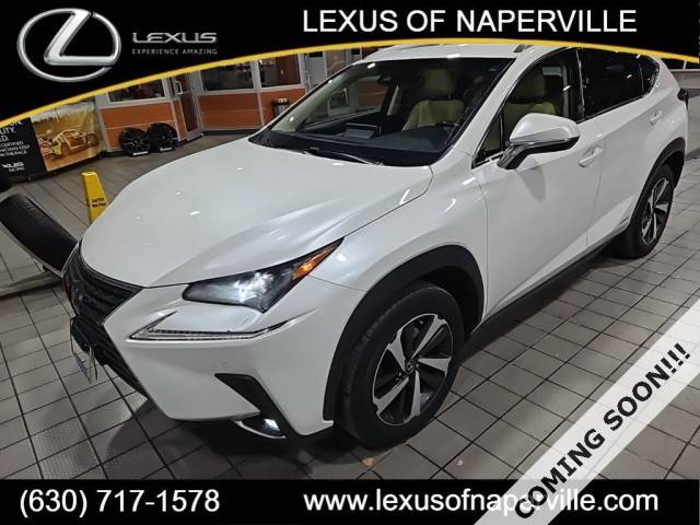 2019 Lexus NX NX 300h AWD photo