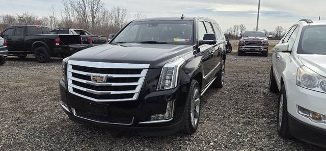 2019 Cadillac Escalade ESV Premium Luxury 4WD photo