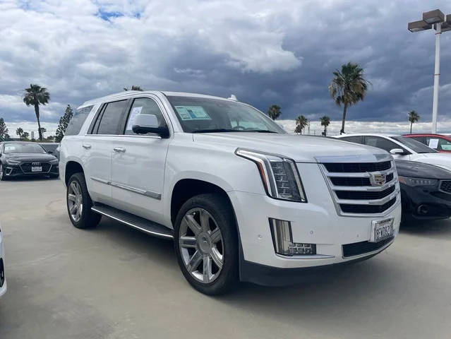 2019 Cadillac Escalade Luxury RWD photo