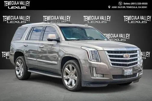 2019 Cadillac Escalade Luxury 4WD photo
