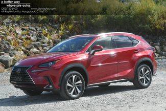 2019 Lexus NX NX 300 AWD photo