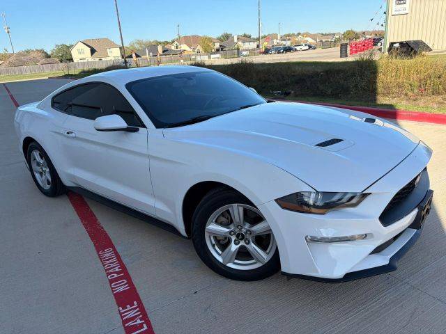 2019 Ford Mustang EcoBoost RWD photo