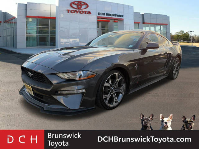 2019 Ford Mustang EcoBoost RWD photo