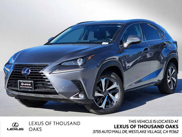 2019 Lexus NX NX 300h AWD photo