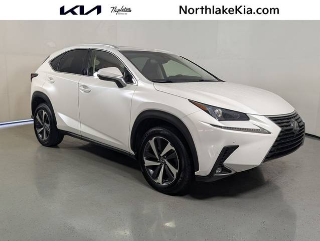 2019 Lexus NX NX 300 FWD photo