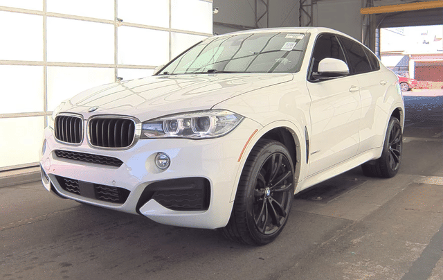 2019 BMW X6 sDrive35i RWD photo