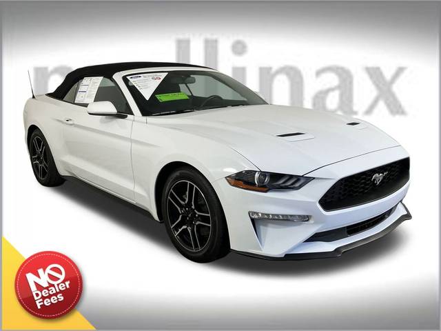 2019 Ford Mustang EcoBoost RWD photo