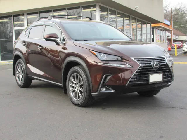 2019 Lexus NX NX 300 AWD photo