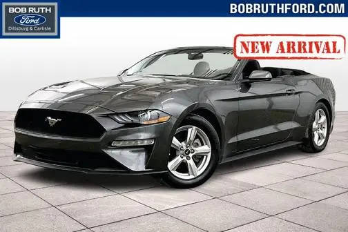 2019 Ford Mustang EcoBoost RWD photo