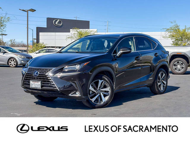 2019 Lexus NX NX 300h AWD photo