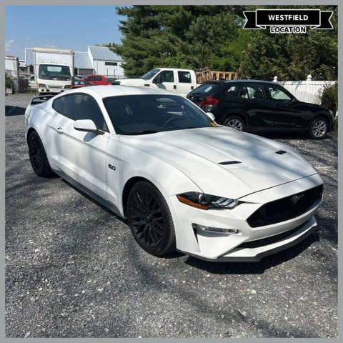 2019 Ford Mustang GT Premium RWD photo