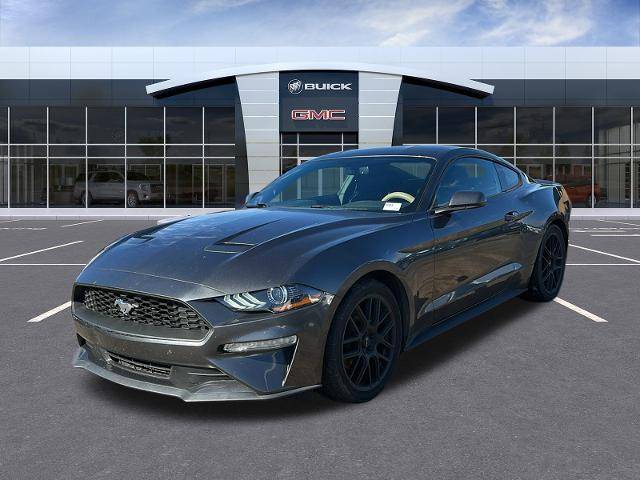 2019 Ford Mustang EcoBoost RWD photo