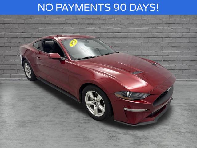 2019 Ford Mustang EcoBoost RWD photo
