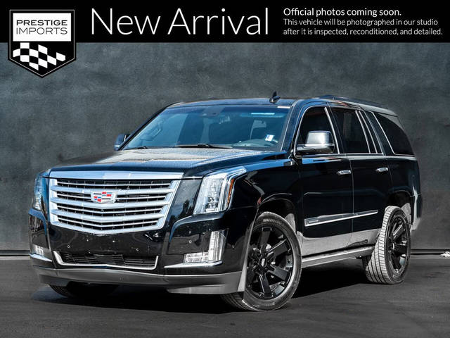 2019 Cadillac Escalade Platinum 4WD photo