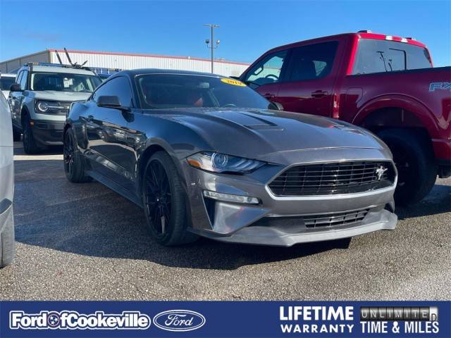 2019 Ford Mustang GT Premium RWD photo