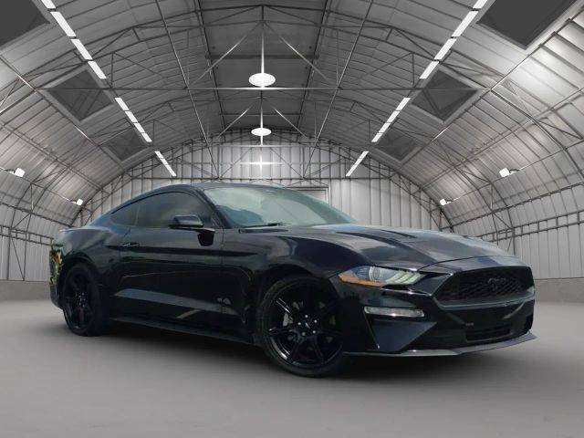2019 Ford Mustang EcoBoost RWD photo