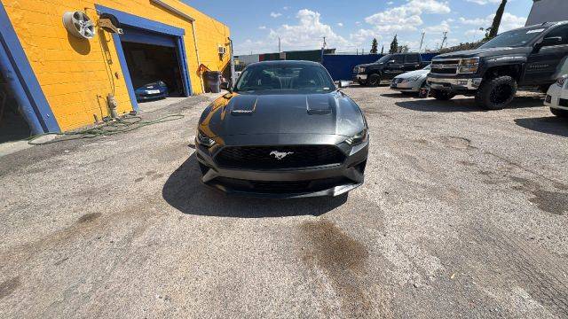 2019 Ford Mustang EcoBoost RWD photo