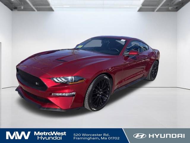 2019 Ford Mustang EcoBoost RWD photo
