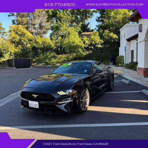 2019 Ford Mustang EcoBoost RWD photo