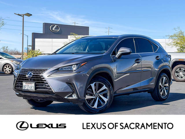 2019 Lexus NX NX 300h AWD photo