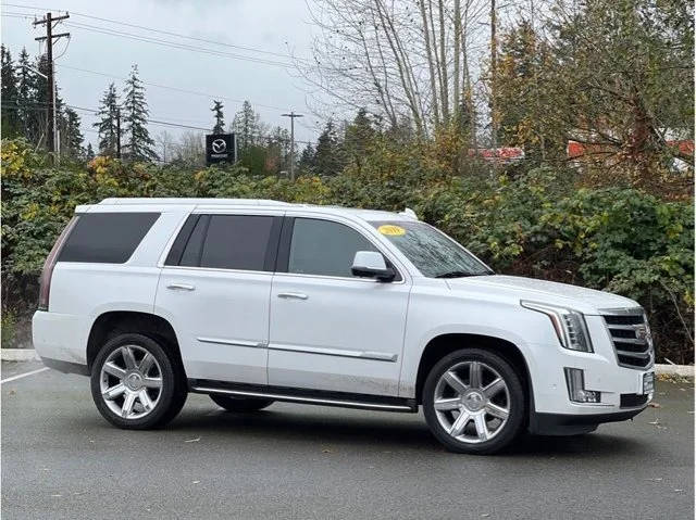 2019 Cadillac Escalade Luxury 4WD photo