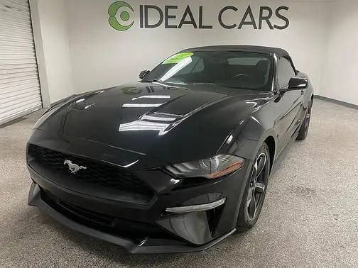 2019 Ford Mustang EcoBoost RWD photo