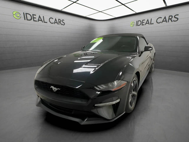 2019 Ford Mustang EcoBoost RWD photo