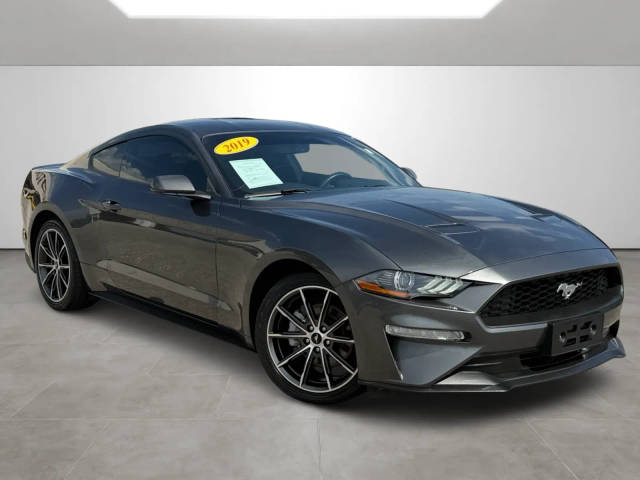 2019 Ford Mustang EcoBoost RWD photo