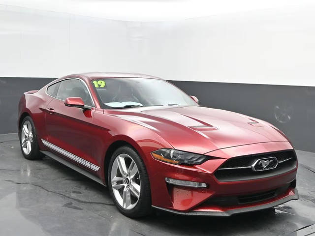 2019 Ford Mustang EcoBoost Premium RWD photo