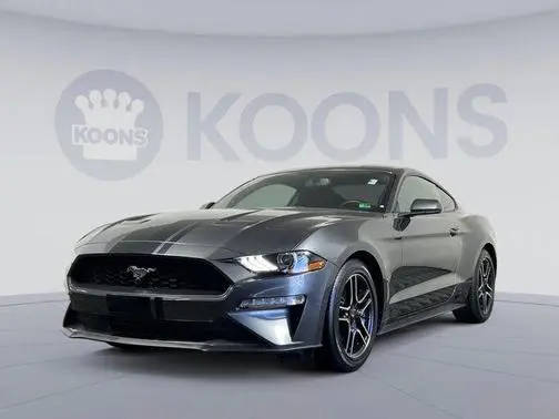 2019 Ford Mustang EcoBoost RWD photo