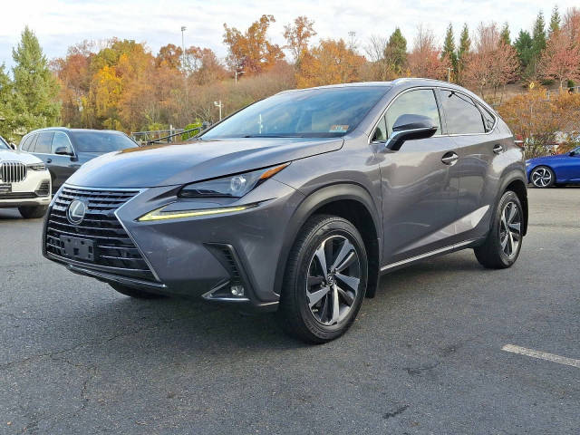 2019 Lexus NX NX 300 AWD photo