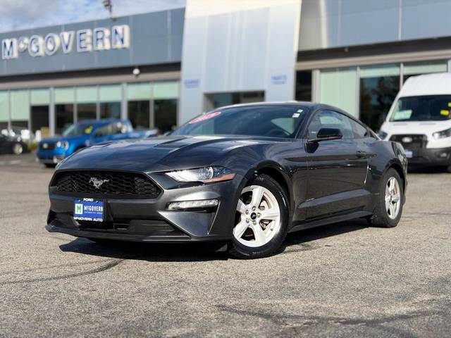 2019 Ford Mustang EcoBoost RWD photo