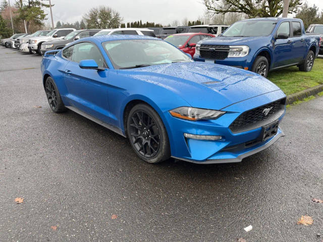 2019 Ford Mustang EcoBoost RWD photo