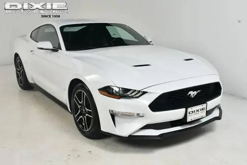 2019 Ford Mustang EcoBoost Premium RWD photo