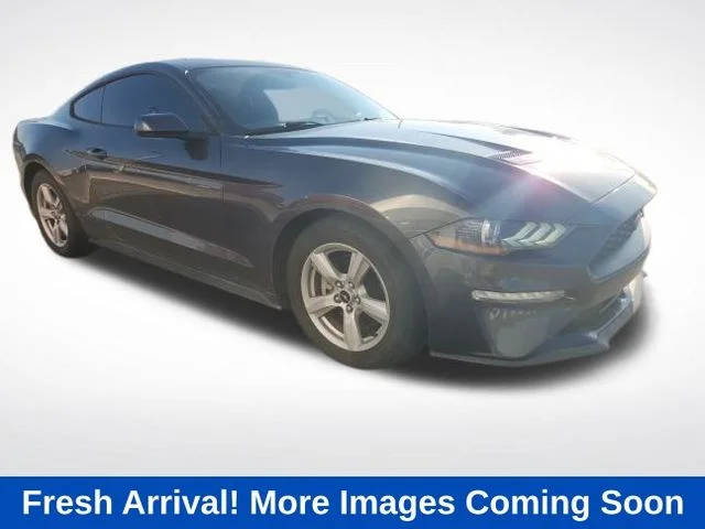 2019 Ford Mustang EcoBoost RWD photo