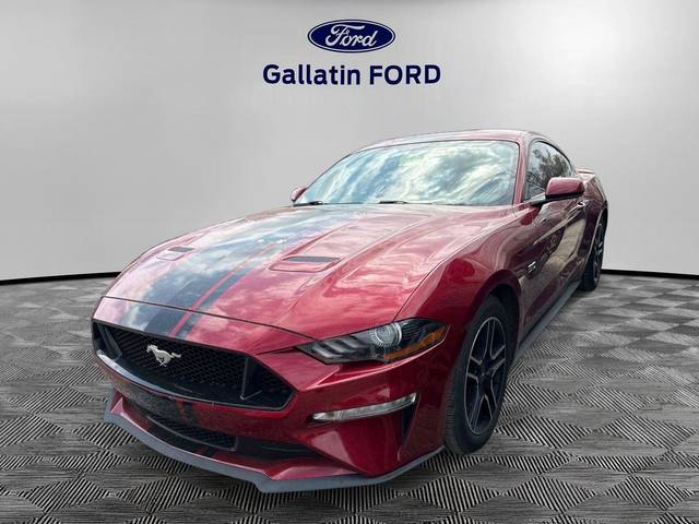 2019 Ford Mustang GT RWD photo
