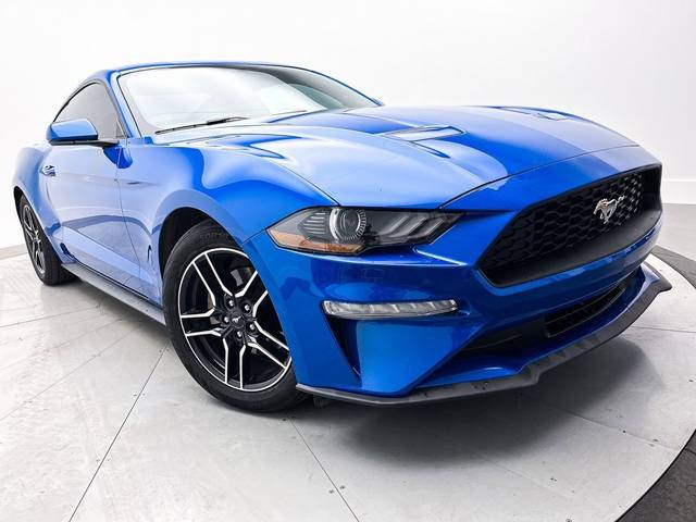 2019 Ford Mustang EcoBoost RWD photo