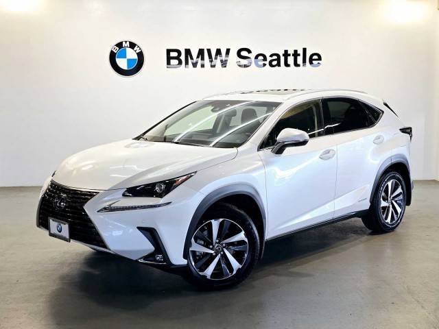 2019 Lexus NX NX 300h AWD photo