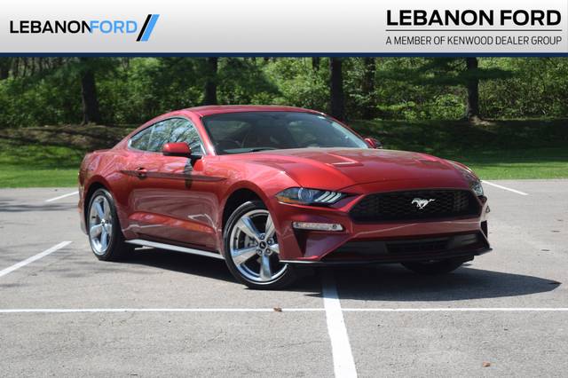 2019 Ford Mustang EcoBoost Premium RWD photo