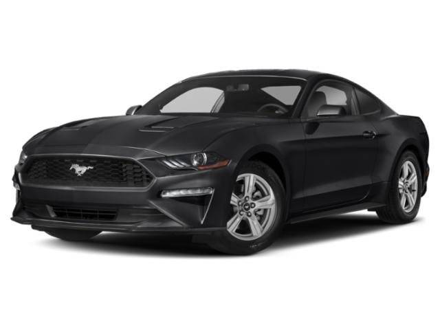 2019 Ford Mustang EcoBoost RWD photo