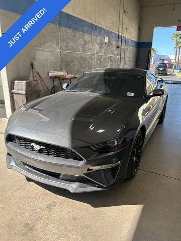 2019 Ford Mustang EcoBoost RWD photo