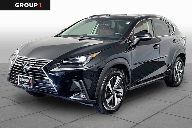 2019 Lexus NX NX 300h AWD photo